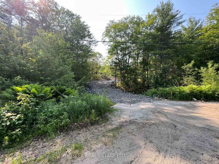 1874 Highway 11 N/A N — photo 1