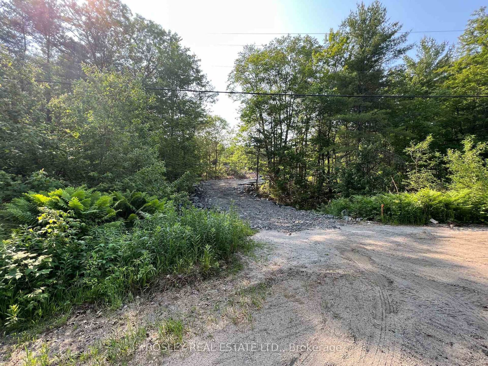 Property Photo: 1874 Highway 11 N/A N ON P0E 1G0