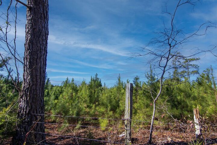 Property Photo:  Tract 6 - 0 Chestnut Grove Road  GA 31826 