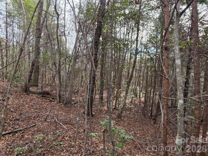 Property Photo:  Lot 6 Kerlee Lane  NC 28762 