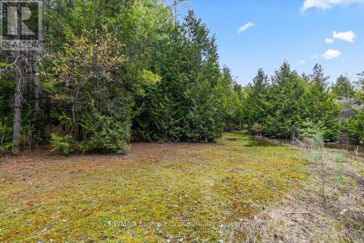 Property Photo:  Pt Lt 70 West Back Line  ON N0C 1H0 
