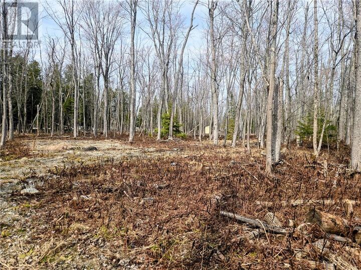 Property Photo:  Lot 9 Fruchey Street  ON P0P 1J0 