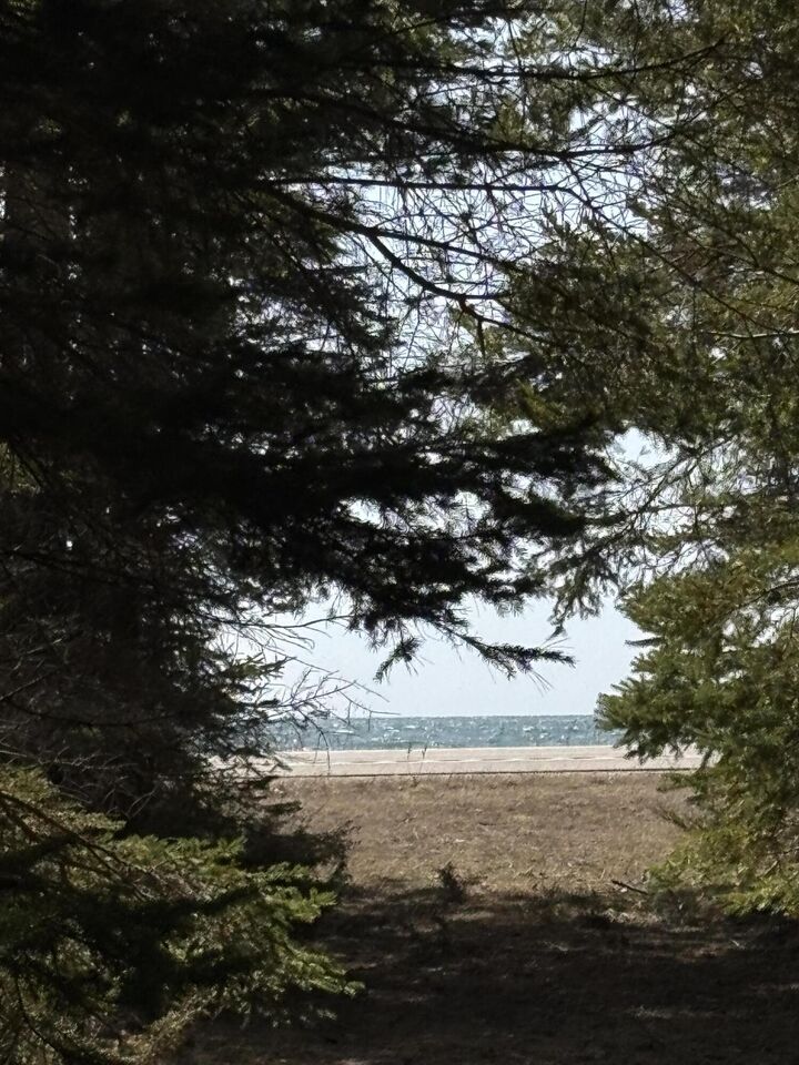 Property Photo: 17873 M-134 MI 49725