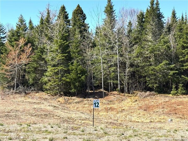 Lot 25-12 Hillside Estates — photo 1
