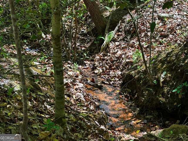 Property Photo:  Lot 43 Edgewood Trail  GA 30512 