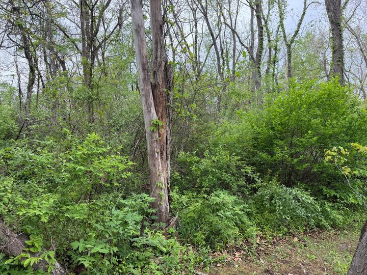 Property Photo:  Alta Dr  WV 24910 