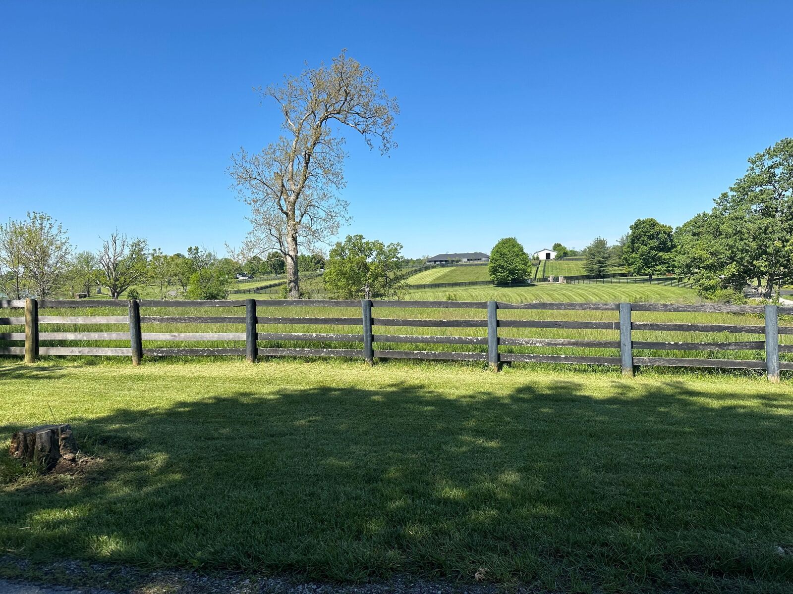 Property Photo: 7.834 Acres On Carrick Pike KY 40324