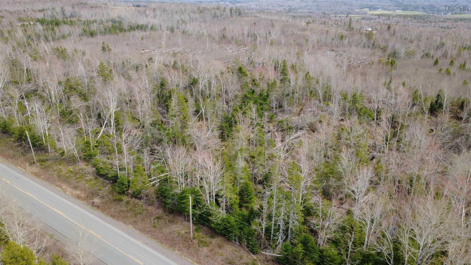Property Photo:  4.5 Acre Lot Black River Road  NS B0K 1R0 