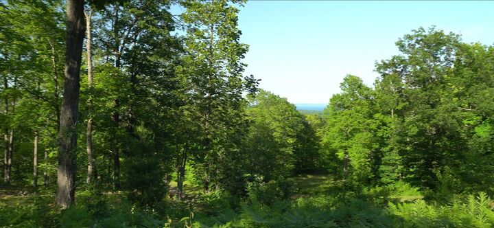 Property Photo:  83xxx - Lot 11 Ashwabay Road  WI 54814 