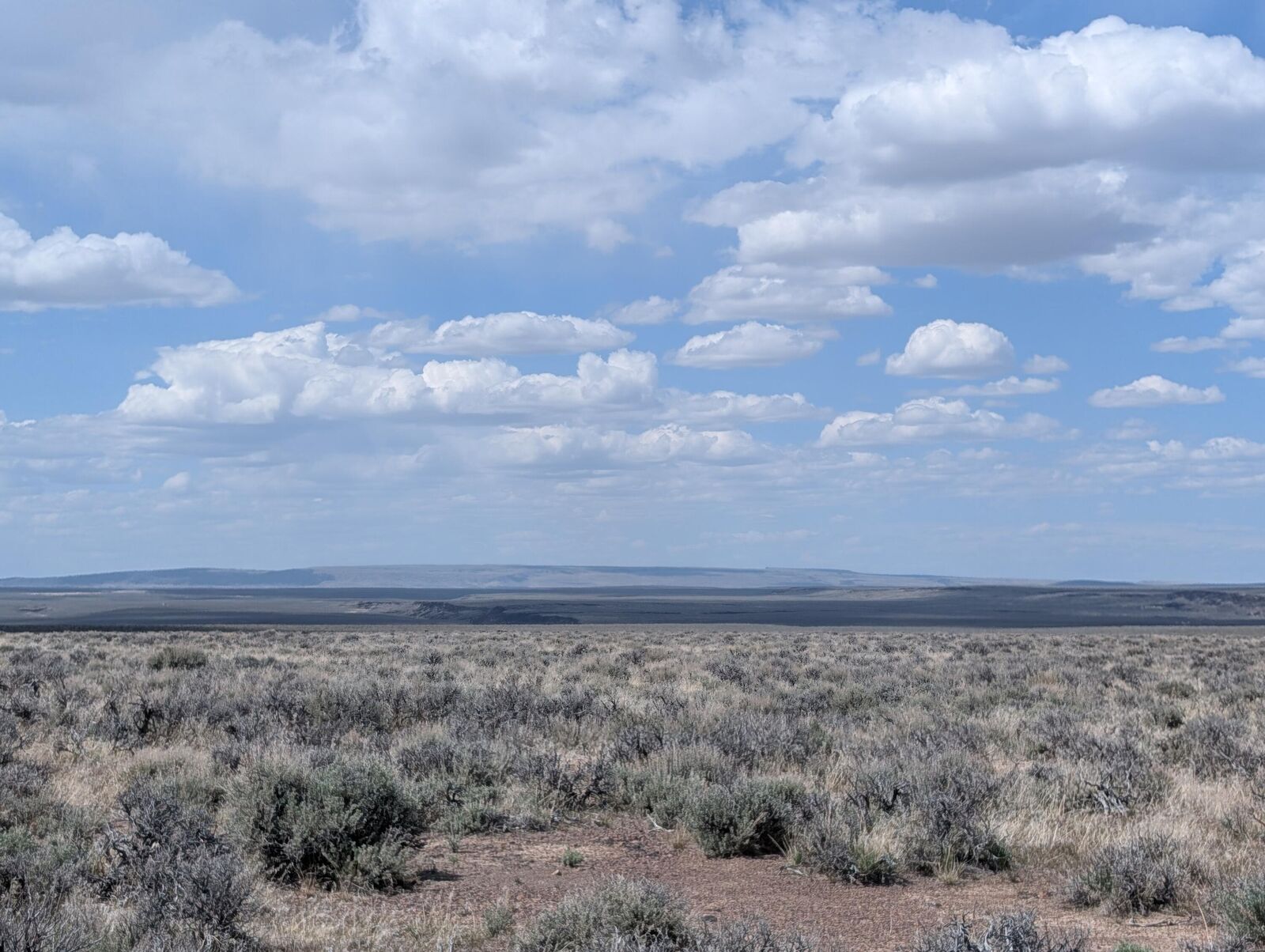 Property Photo:  Black Canyon Road 0  OR 97620 
