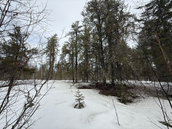 Property Photo:  Twp Rd 662  AB T0A 0M0 