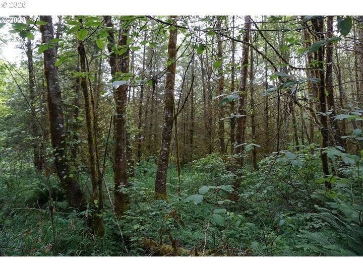 Property Photo:  0000 NE Buncombe Hollow Rd  WA 98674 
