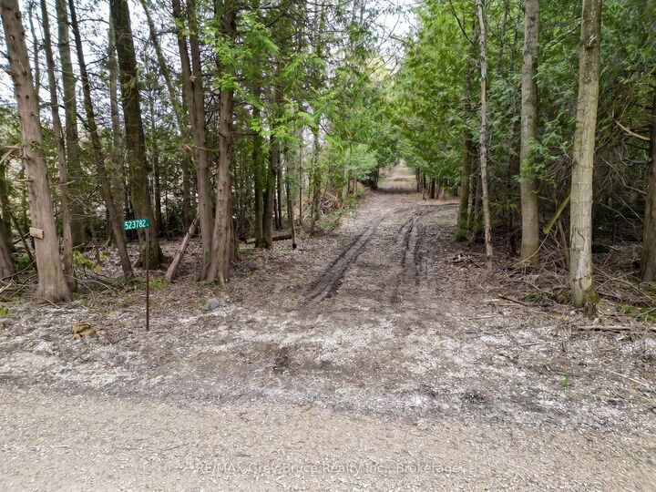 523782 Concession 12 Road — photo 1