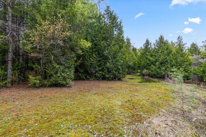 Property Photo:  Pt Lt 70 West Back Line  ON N0C 1H0 