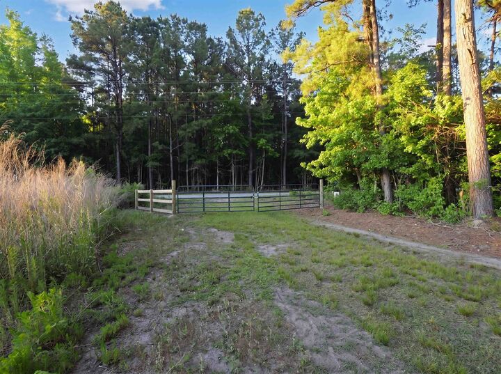 Property Photo:  Tbd Chair Rd.  SC 29554 