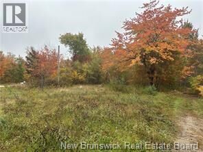 Property Photo:  72 Old Harvey Road  NB E6J 1B8 