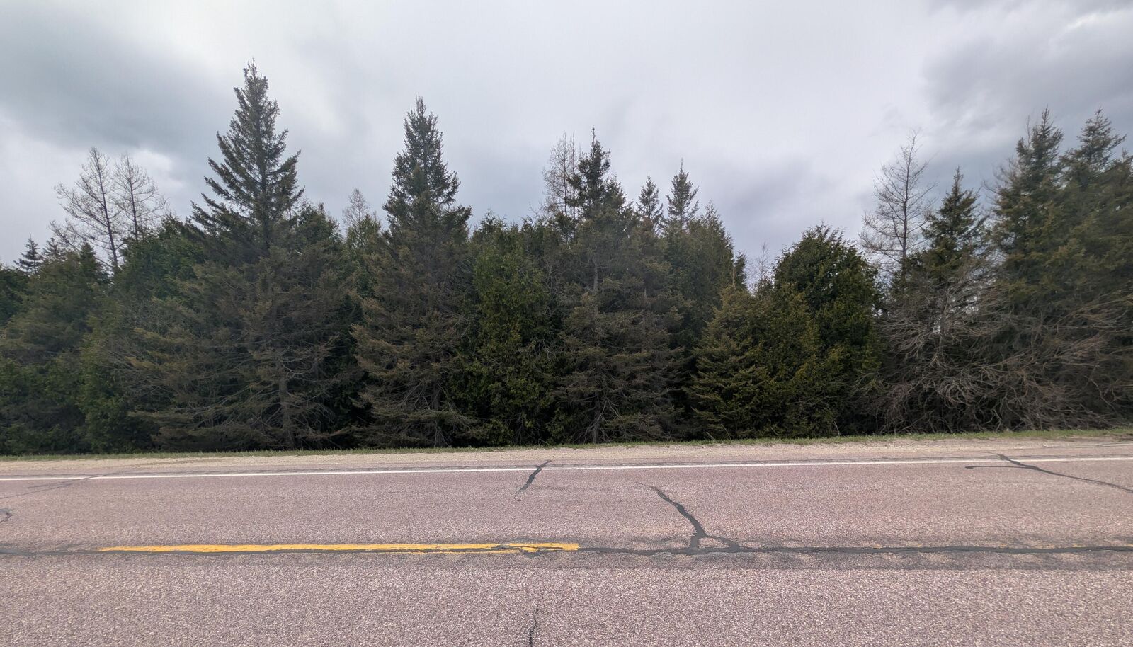 Property Photo:  000 M-123  MI 49760 