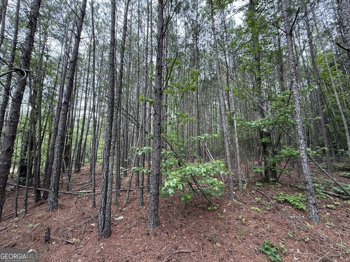 Property Photo:  0 Natures Walk Drive  GA 30165 