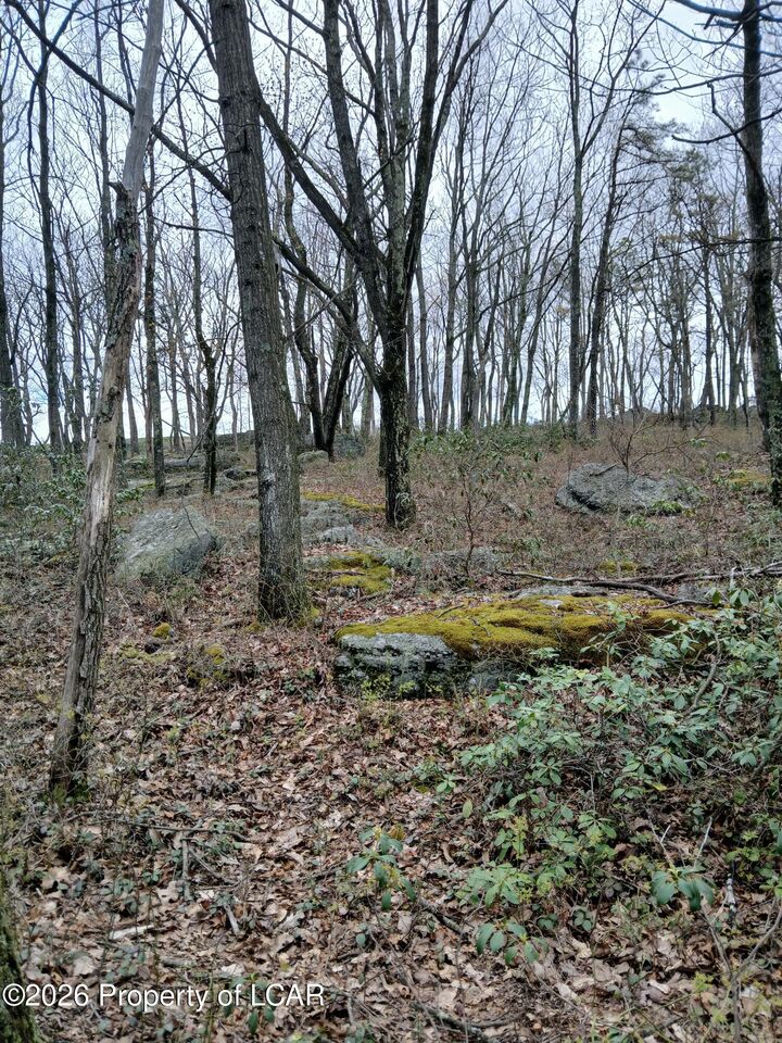 Property Photo: 007 Harleigh Terrace Road PA 18202