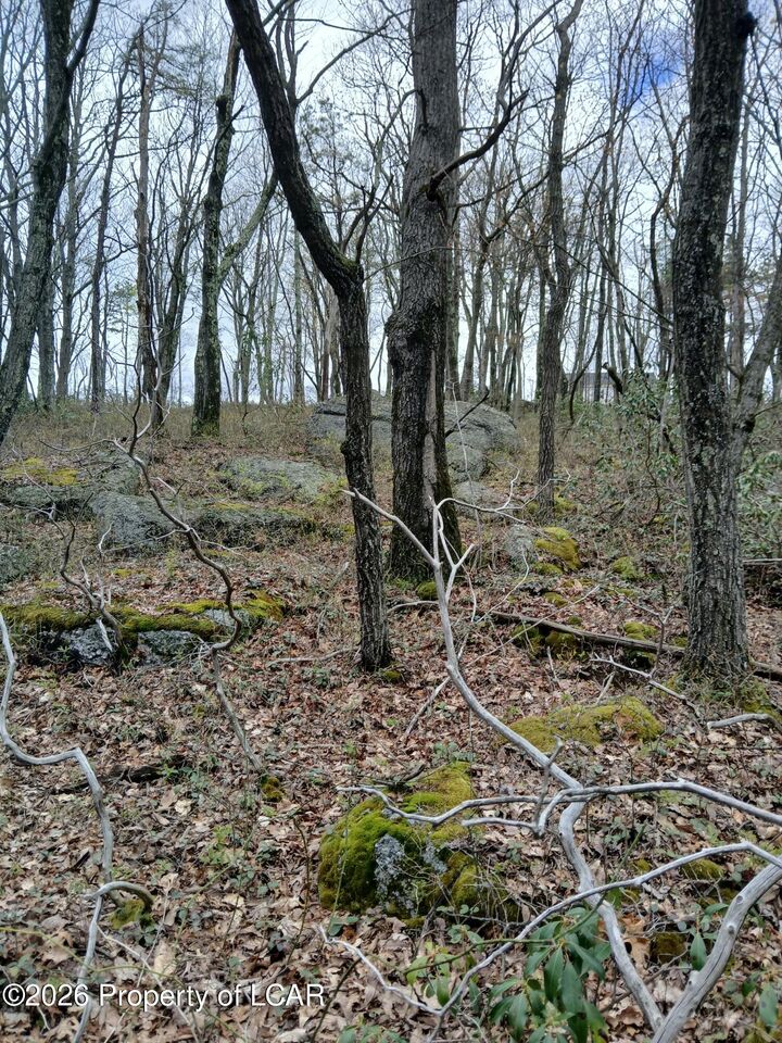Property Photo: 005 Harleigh Terrace Road PA 18202