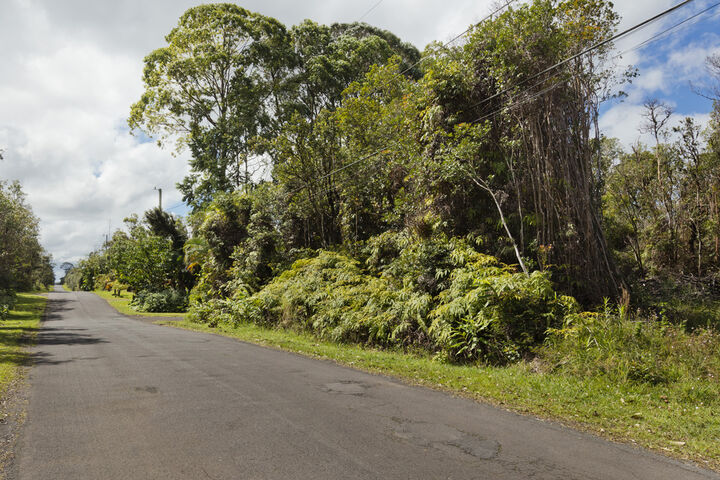 Property Photo:  Pikake St  HI 96771 