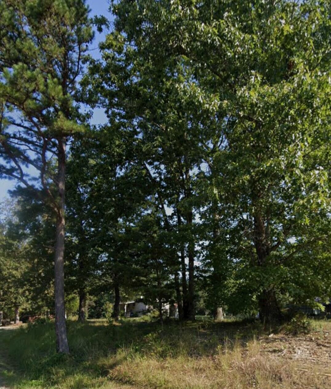 Property Photo:  Lot 12  13 Faulkner Pk Bee Creek Rd  KY 40701 
