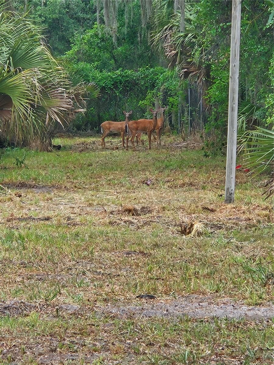 Property Photo:  0000 Culver Way  FL 32732 