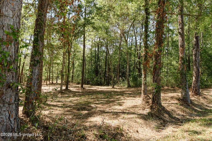 Property Photo:  Honduras Drive  MS 39553 