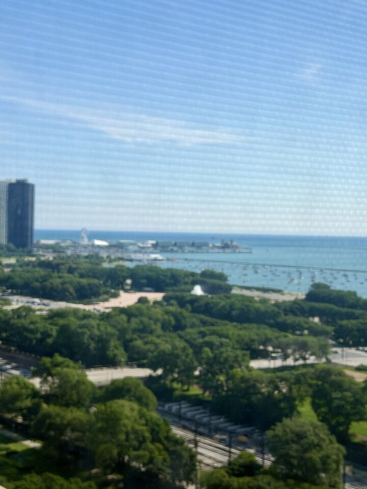 Property Photo: 910 S Michigan Avenue 1705 IL 60605