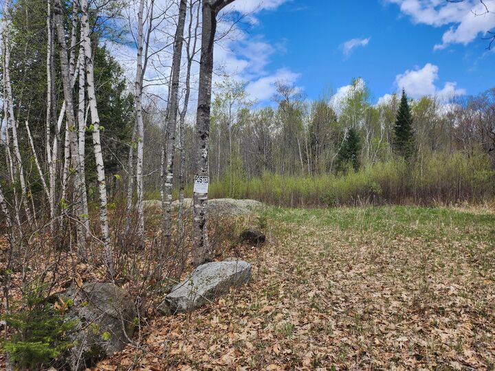 Property Photo:  Lot 29-8 Windfall Lane  ME 04965 