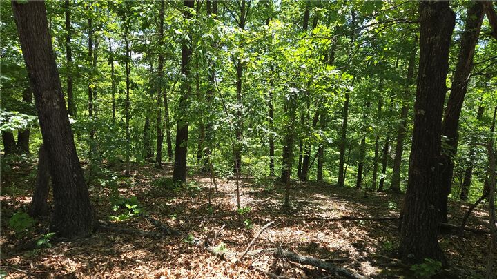 Property Photo:  Tummell Drive  AR 72715 