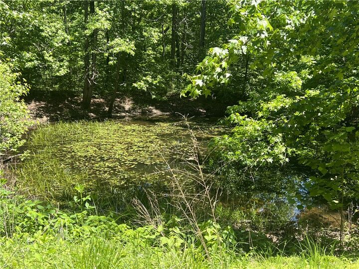 Property Photo:  Terrapin Road  AR 72601 
