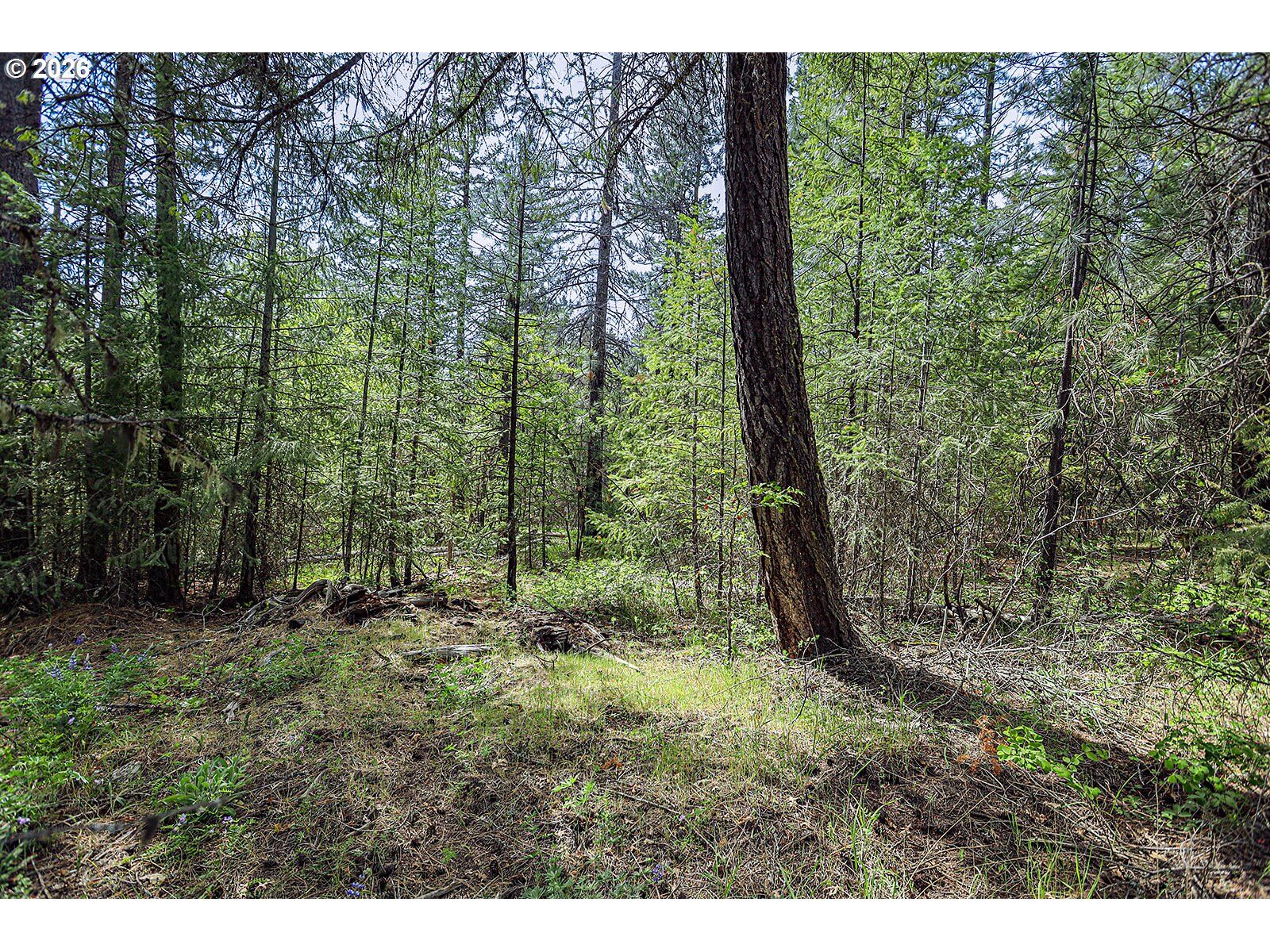 Property Photo:  Nka Forest Glen Dr #38  WA 98620 