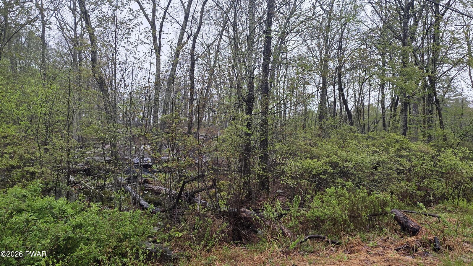 Property Photo:  Lot 1 White Birch Drive  PA 18428 