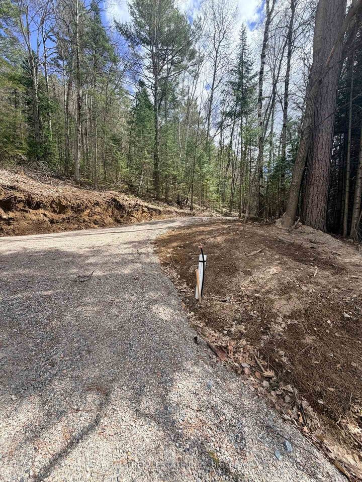 Property Photo:  0 Highway 62 N N/A  ON K0L 1C0 