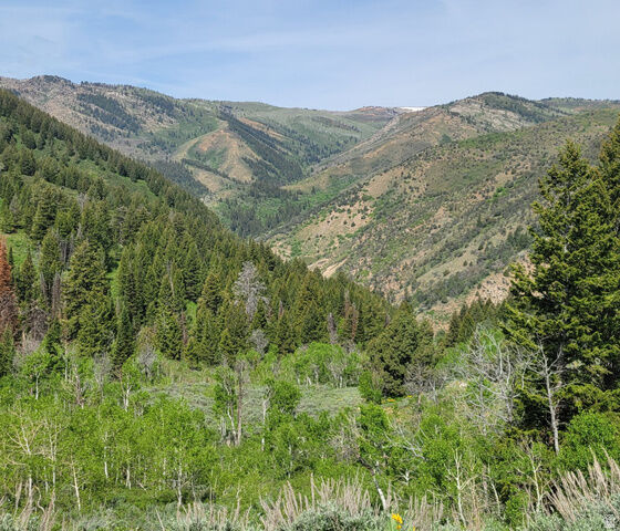 Property Photo:  40 Sunridge  UT 84317 