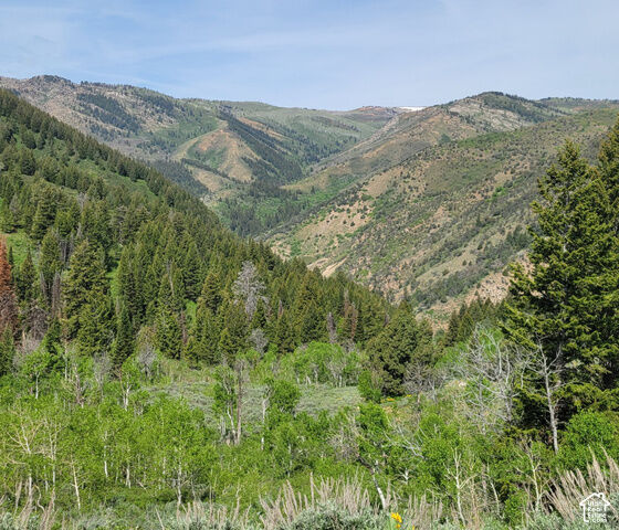 Property Photo:  40 Sunridge  UT 84317 