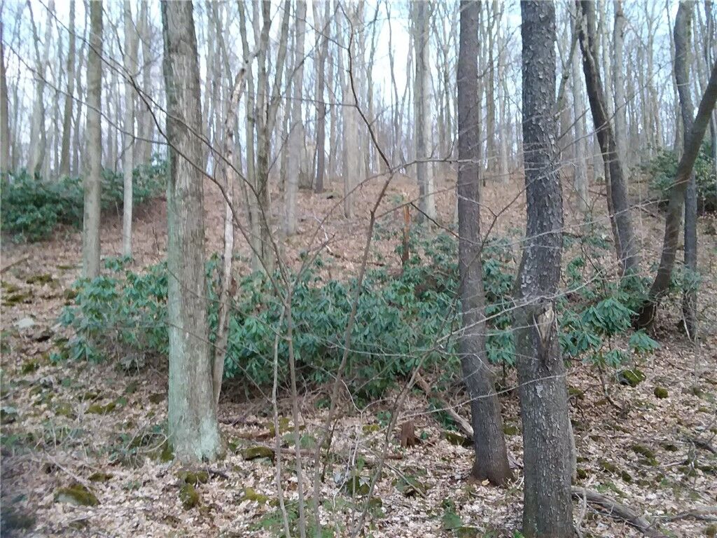 Property Photo:  Rd# 1 Melcroftroad Melcroft  PA 15462 