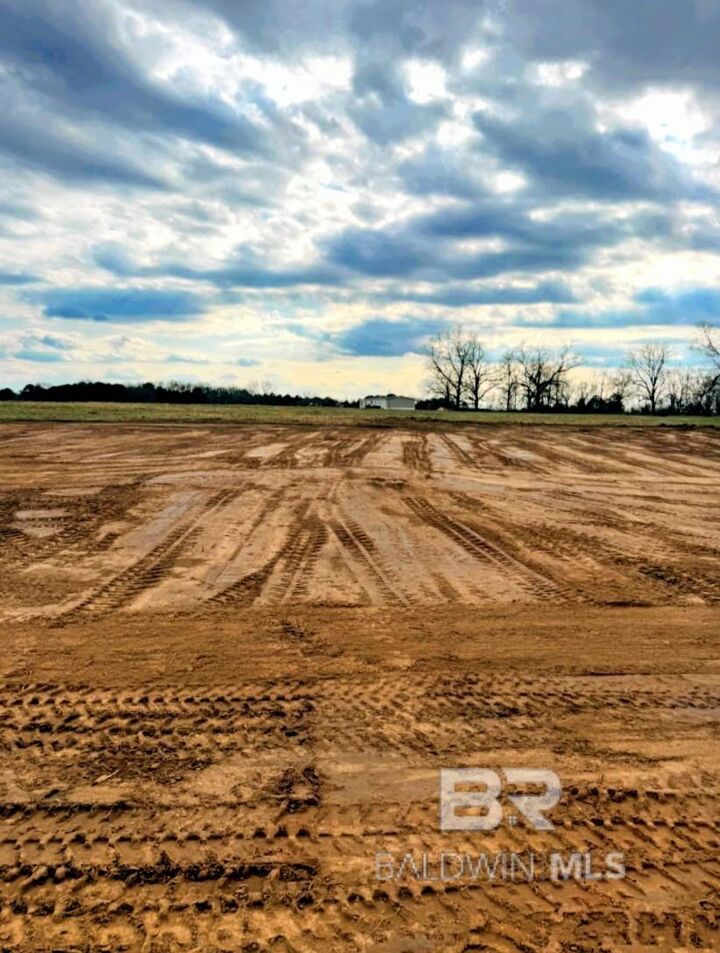Property Photo: Lot 2, 0 T Bridge Road AL 36474