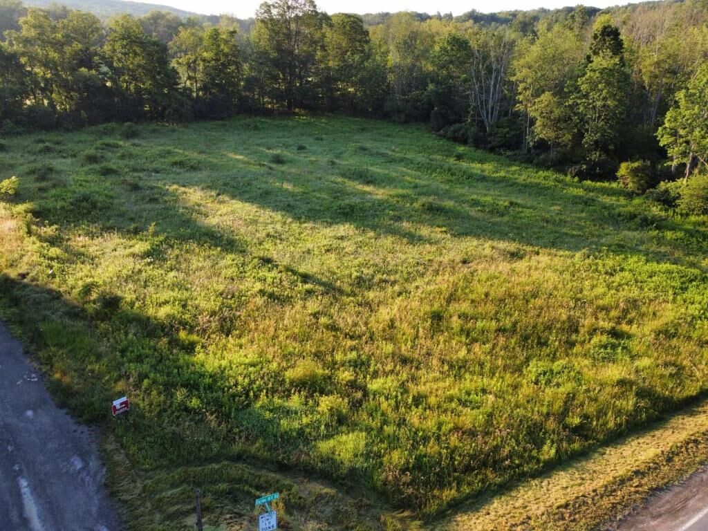 Property Photo:  0 Hornbrook Road  NY 14850 