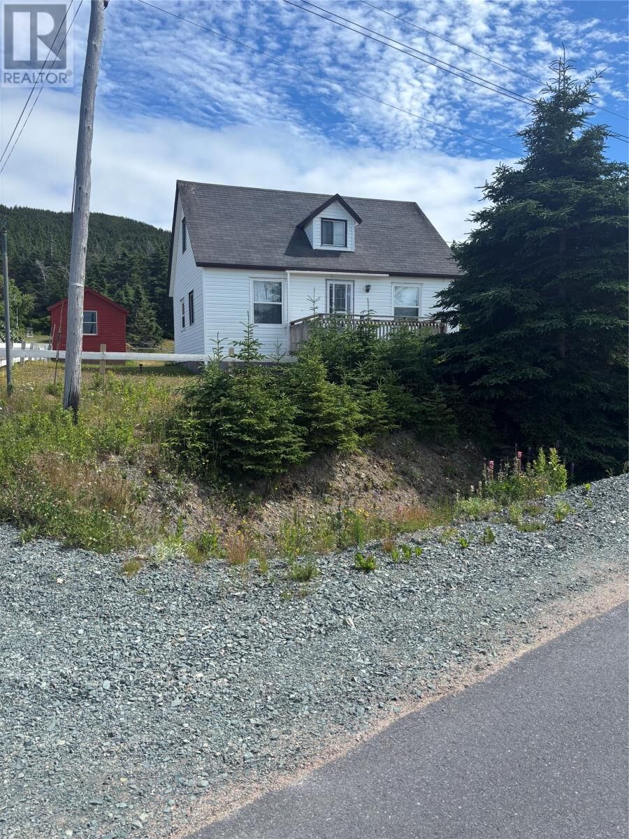Property Photo:  45 Main Street  NL A0C 2A0 