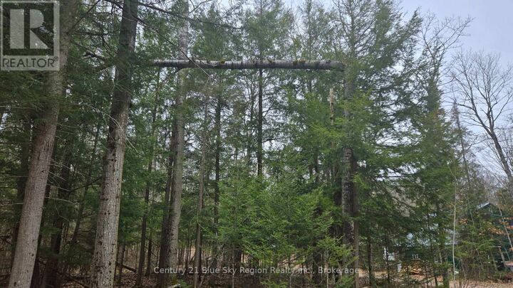 Property Photo:  149 Pine Lake Road  ON P0H 2E0 