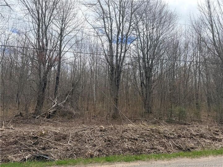 Lot 83-2 Route 880 — photo 1