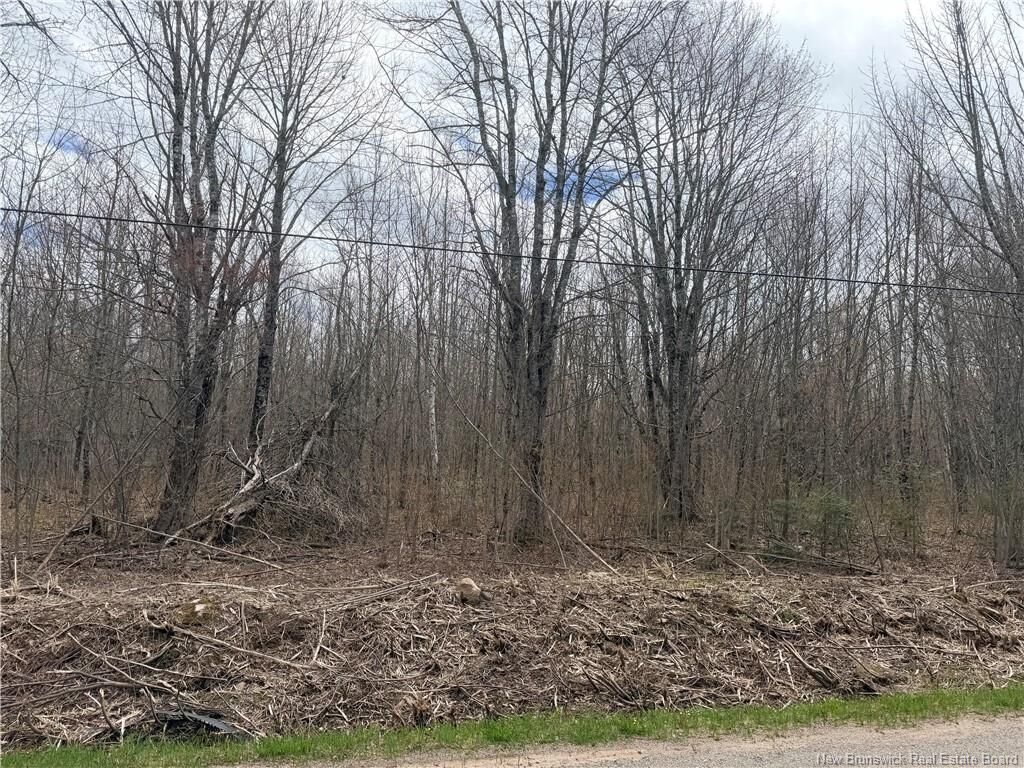 Property Photo:  Lot 83-2 Route 880  NB E4Z 5H9 