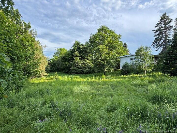 Lot Harris Drive — photo 1