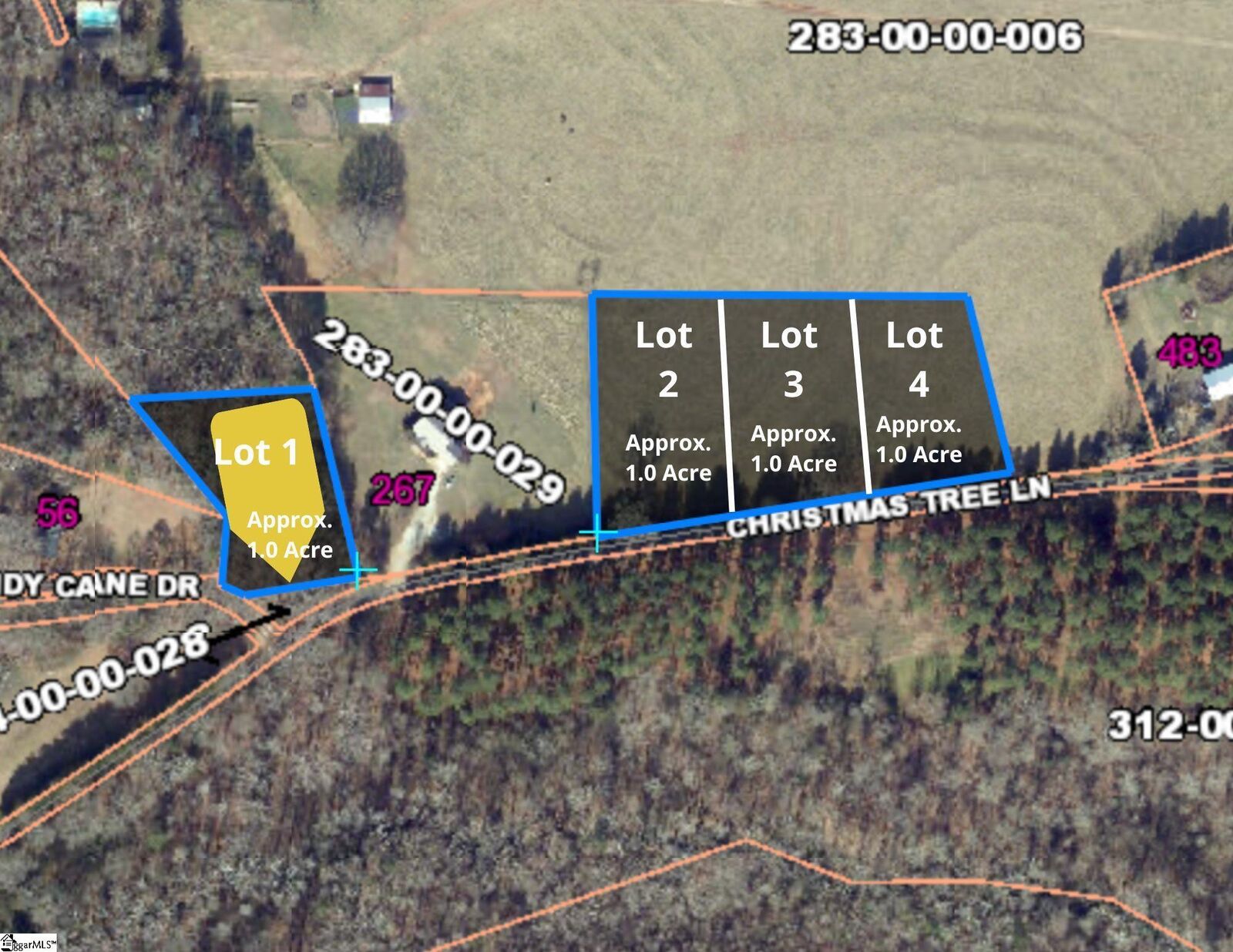 Property Photo:  100 Living Waters Trail Lot #1  SC 29388 