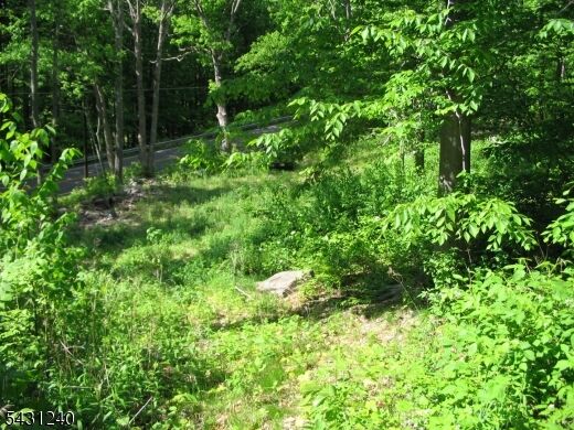 Property Photo:  67 Pidgeon Hill  NJ 07461 