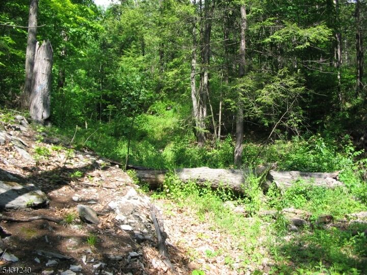 Property Photo:  67 Pidgeon Hill  NJ 07461 