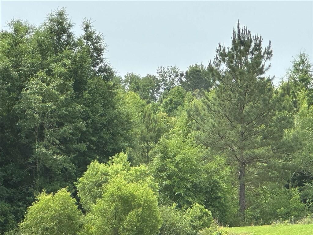 Property Photo:  0 County Road 54 Road  AL 36526 