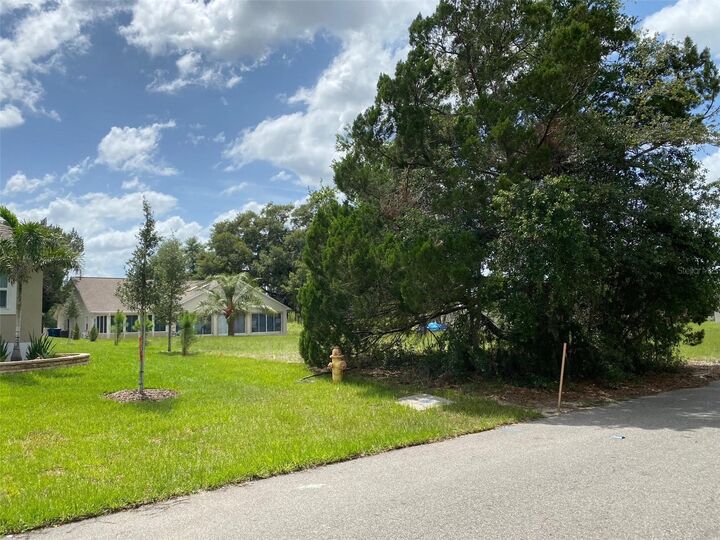 Property Photo:  Lot 194 Chestnut Ridge Road  FL 33523 